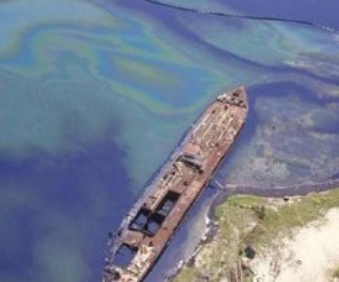 In 1986, a refinery accident heavily contaminated the near-shore habitats of Bahia Las Minas in the central Caribbean coast of Panama. Credit: Smithsonian Archives