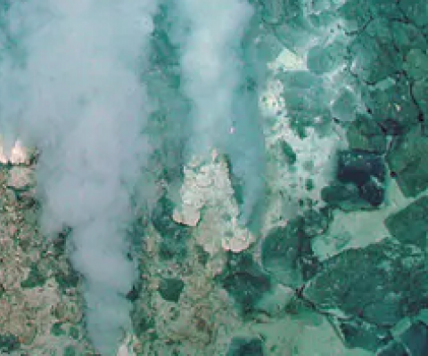 Minerals and carbon dioxide escape from the Earth’s crust into an ocean at this deep-sea vent. NOAA
