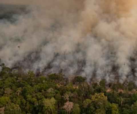 Fire in an area newly deforested registered by Deter (Real Time Deforestation Detection System), in Porto Velho, Rondônia state. Taken 16 Aug, 2020. CREDIT: © Christian Braga / Greenpeace