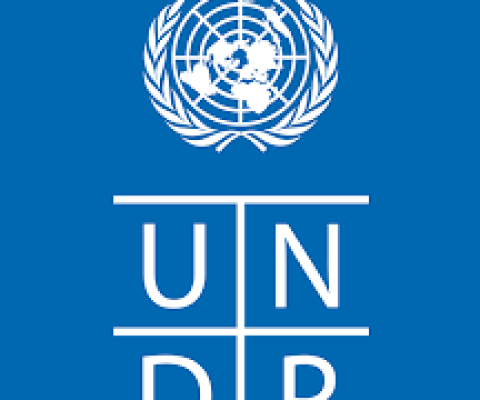 UNDP