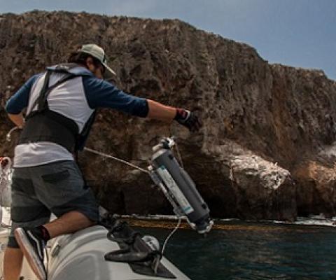 A UCLA researcher prepares to lower a specialized bottle into the ocean off of the coast of Santa Cruz Island to capture samples of eDNA. Credit - Zachary Gold