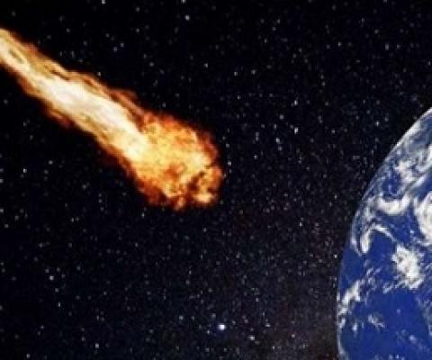 While we fixate on coronavirus, Earth is hurtling towards a catastrophe worse than the dinosaur extinction. Credit: Pixabay