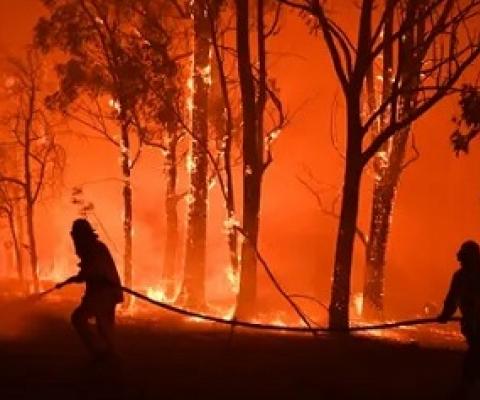 Oxford said the choice reflected the rise in climate awareness and the language we use to discuss it. Photograph: Dean Lewins/AAP