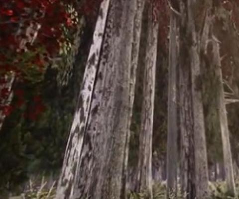 A Wisconsin type forest created in virtual reality to illustrate the effects of climate change scenarios on the trees and forest.  Credit: Alexander Klippel and Jiawei Huang, Penn State