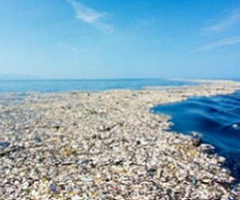a portion of the great pacific garbage patch. source - eradicateplastic.com