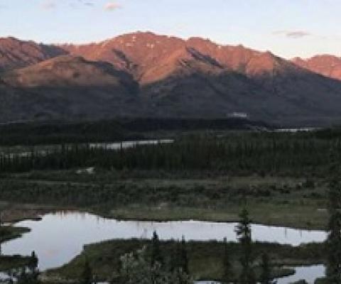 The Brooks Range stretches across northern Alaska. Boreal forests in North America are among the largest areas experiencing a relatively low human impact. Credit: Jason Riggio/UC Davis