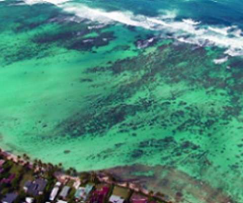 Hawaii's inshore reef area