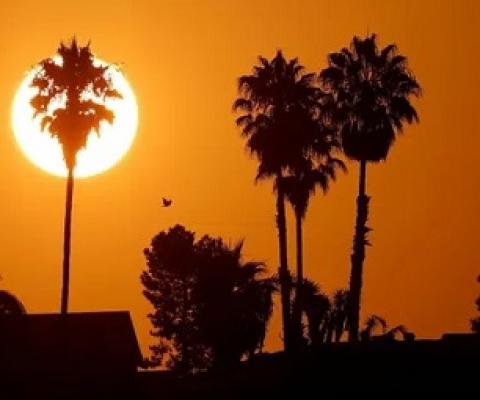 The sun rises over a neighborhood in Encinitas, California, amid a heatwave last year. Photograph: Mike Blake/Reuters