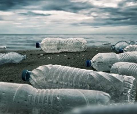 plastic bottles on a beach. credit - iStock