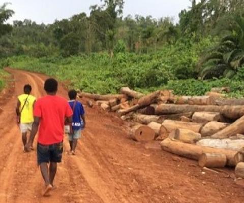 Landowners walking along a logging road in an illegally logged forest, Metamin area, New Hanover, PNG. Photo: Global Witness Media Hub