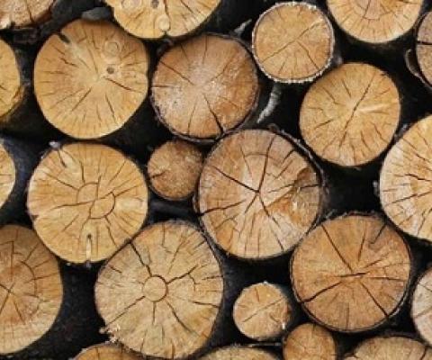 Deforestation in Borneo. Photo: Rhett A. Butler