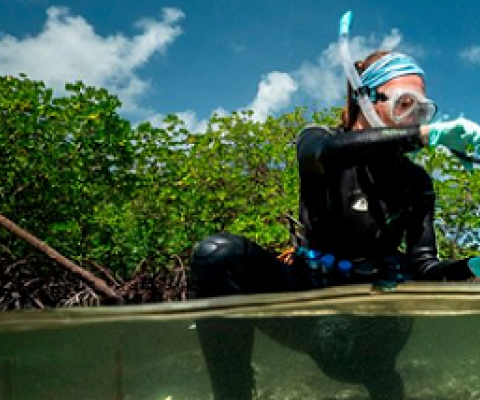 Marine biologist Emma Camp sampling coral.Credit: Rolex/Franck Gazzola