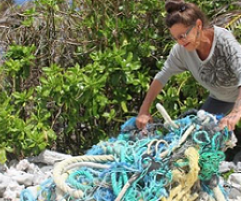 marine debris washed up on beach, Cook Islands