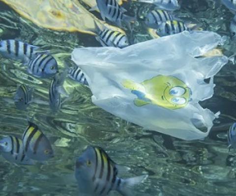 Life-cycle assessment of plastic packaging fails to account for marine pollution. Andrey Nekrasov/Barcroft Media via Getty Images