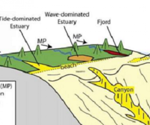 Shelf and deep sea environments have generally lower micropastic flux rates than coastal environments, but high rates may occur locally where bottom currents concentrate microplastic (e.g. on drift deposits, in submarine canyons and ocean trenches; Kane et al., 2020) or beneath locations of high particulate organic carbon flux driven by primary production (Tekman et al., 2020). Credit: Peter T. Harris