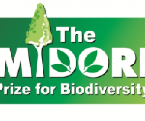 Midori Prize logo
