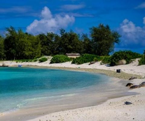 Sea turtles lie in the sun on Turtle Beach at Midway Atoll, part of the Papahānaumokuākea Marine National Monument. PHOTOGRAPH BY A.J. CHAVAR, THE NEW YORK TIMES/REDUX