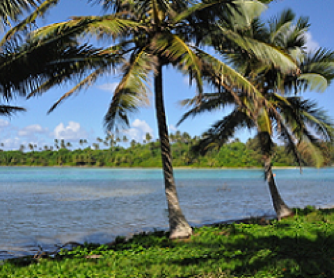 A view of Muri Lagoon, Rarotonga. Credit - Monica Evans for Mongabay.