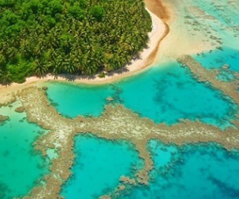 Namdrik Atoll, Marshall Islands. Credit - M. Honeth