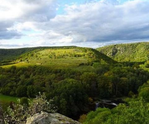 Scientists help wildlife parks mobilize against poaching. Credit - Credit: CC0 Public Domain