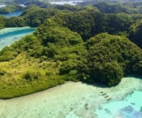 Ncherchelngael Island, Palau. photo - belau guardians at change.com website