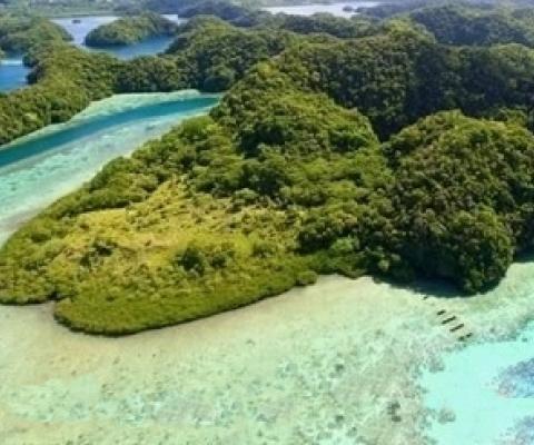 Ngerchelngael island, Palau. credit - www.islandtimes.org