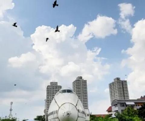 Birds fly over abandoned aircraft in the suburbs of Bangkok in October. Photograph: Mladen Antonov/AFP via Getty Images
