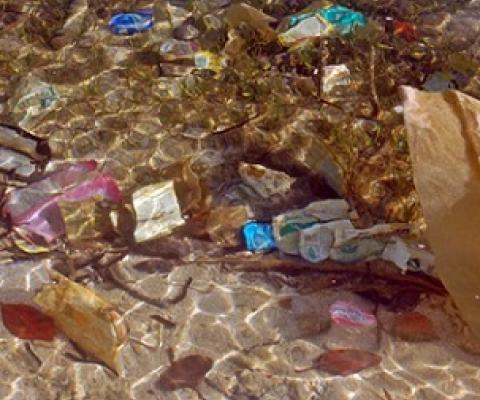 Litter found in the waters of Bali, Indonesia. Image: Behan, CC BY-NC-ND 2.0. 
