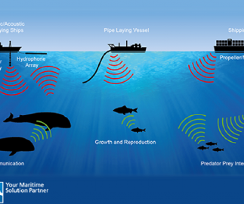 ocean noise diagram. source: https://meam.openchannels.org