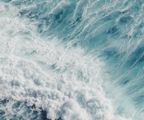 ocean and waves. credit - Andrzej Kryszpiniuk