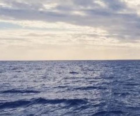 Oceans should have a place in climate 'green new deal' policies, scientists suggest