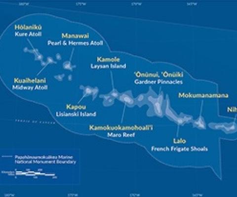 Hawaii marine monument expansion’s impact on fishing debated 5 years later