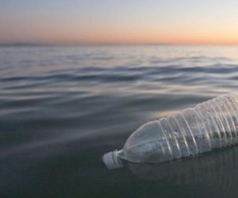 Plastic in the Pacific Ocean off California. credit - Getty Images