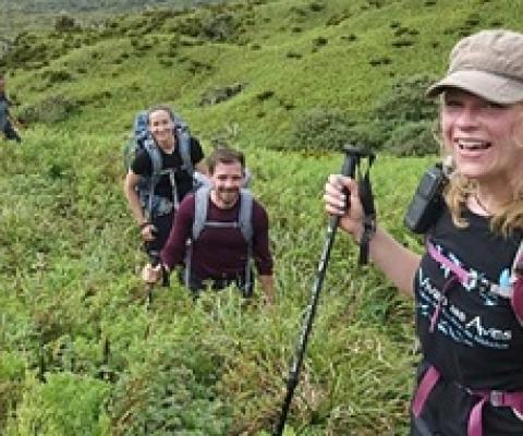 They tried to save seabirds from giant mice on a remote island, but Covid-19 
