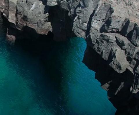 What on Earth is a ‘seascape’? Credit - www.conservation.org