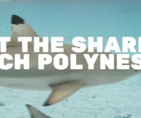 Material from the Mao Mana Foundation Photo: Mao Mana Foundation