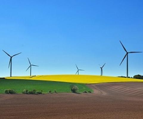 Does going green pay off? Credit: CC0 Public Domain