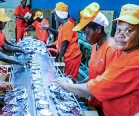 On the processing line at a Pacific Islands tuna cannery. Photo: Francisco Blaha.