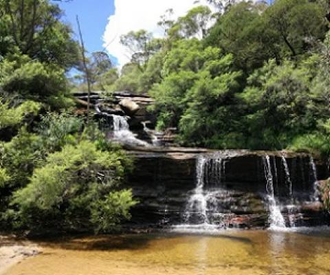 Wentworth Falls in the Blue Mountains. Embracing planetary health, a more holistic way of thinking about the environment, is the only way we can protect it. Credit - Shutterstock
