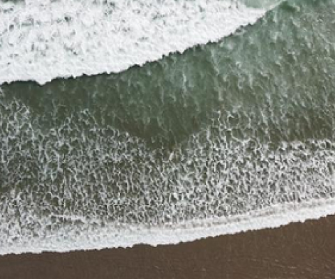 waves, beach, ocean, sea, generic. Photo: Unsplash / Alister Hitchcock