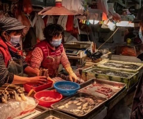 Wet markets, like this one in Macau, are found throughout Asia and sell fresh vegetables, fruit, seafood, and meat. Although most wet markets don’t sell wildlife, the terms “wet market” and “wildlife market” are often conflated. PHOTOGRAPH BY ANTHONY KWAN, GETTY