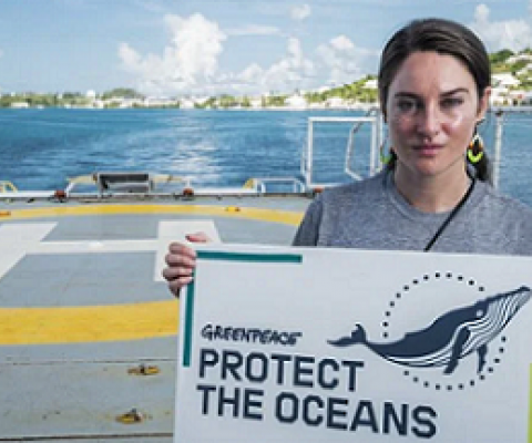 Shailene Woodley, actor and climate change advocate