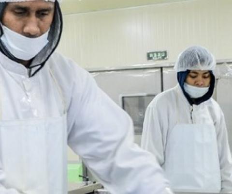 Preparing tuna steaks for packaging at Ocean Fiji factory … Pacific Islands people want to build their economies so communities are more resilient and have more opportunities