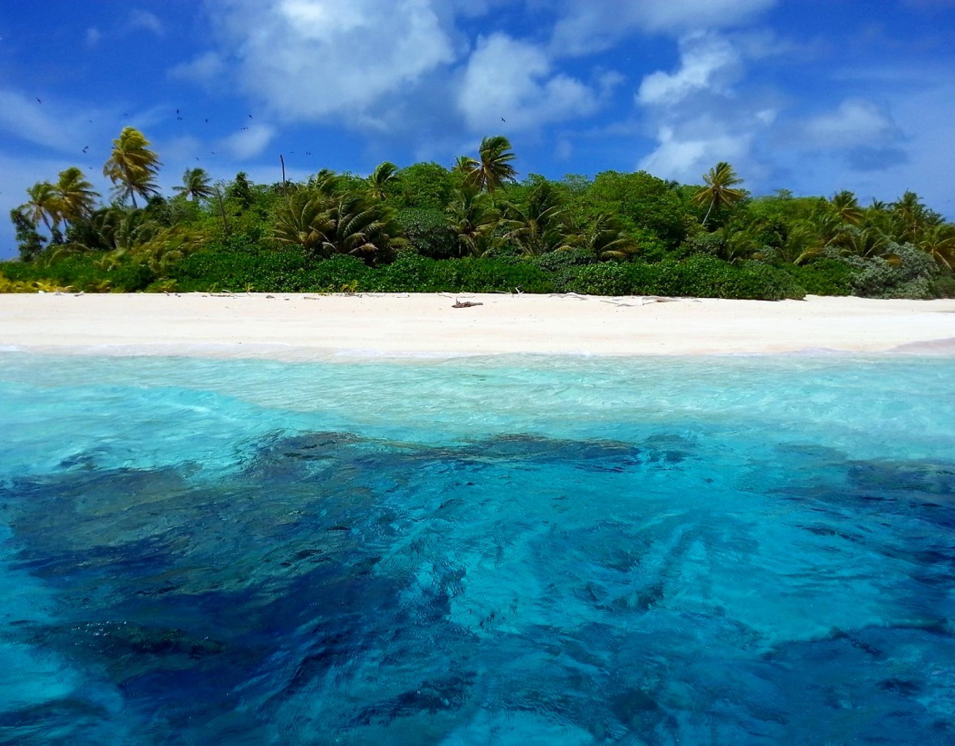 Funafuti Conservation Area, Tuvalu. Credit - V. Jungblut Funafuti Conservation Area, Tuvalu. Credit - V. Jungblut