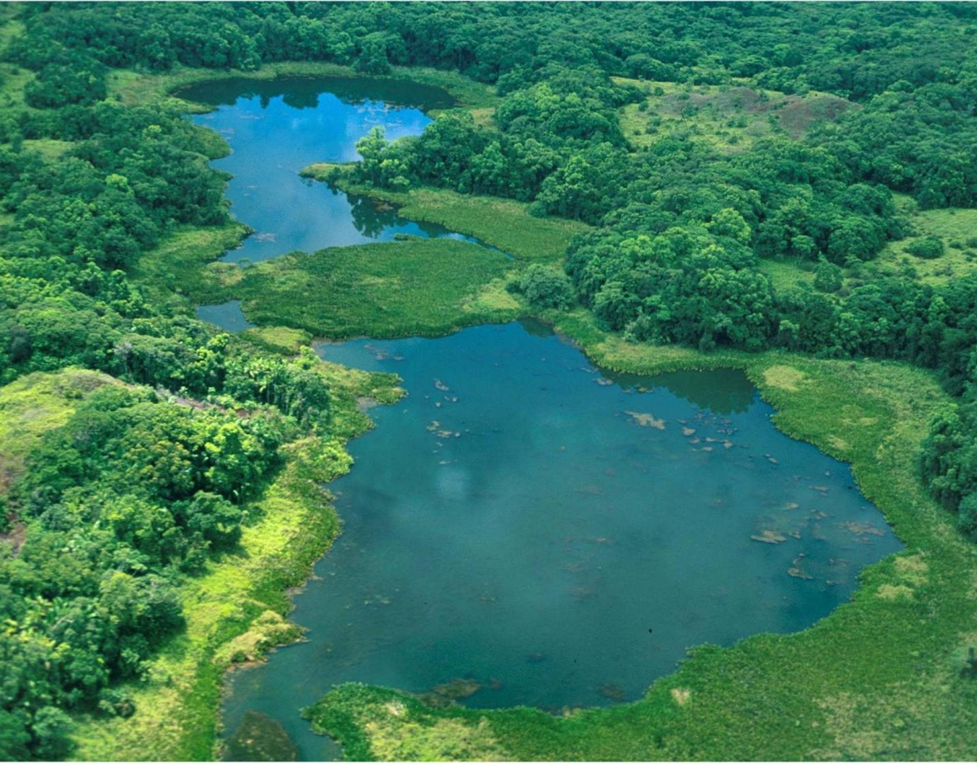 Lake Ngardok Nature Reserve, Palau. Credit - C. Joseph