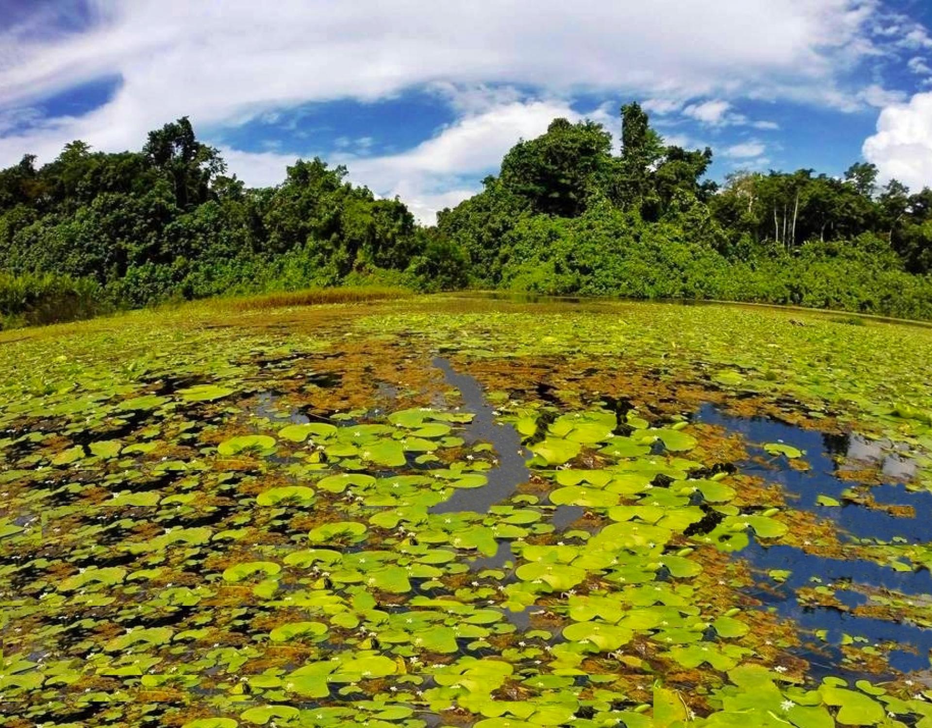 Vatthe Conservation Area. Credit - SUP Wilderness Adventures Vatthe Conservation Area. Credit - SUP Wilderness Adventures