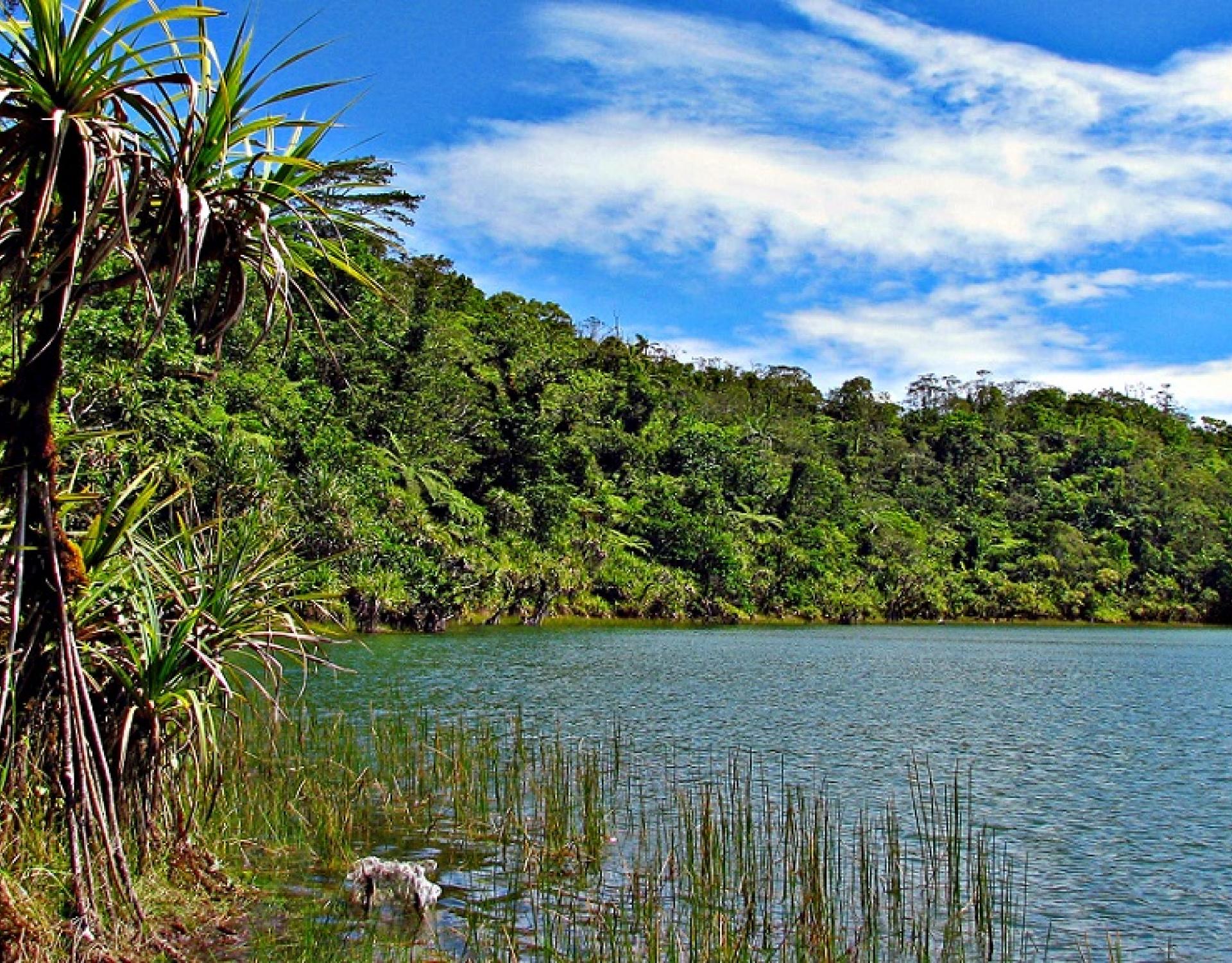 Lake Lanotoo National Park, Samoa. Credit - V. Jungblut