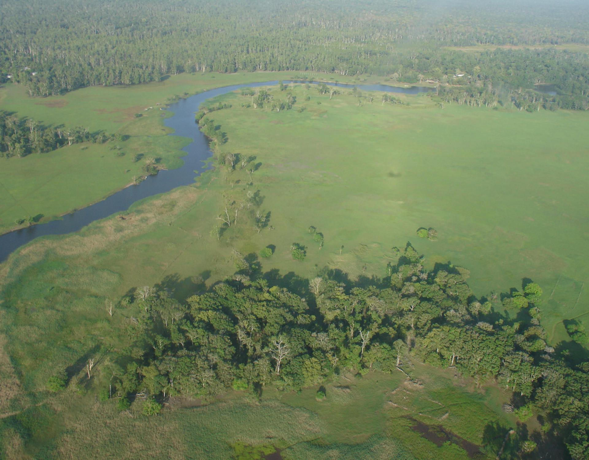 Credit - Iain Taylor Tonda Wildlife Management Area (Papua New Guinea)