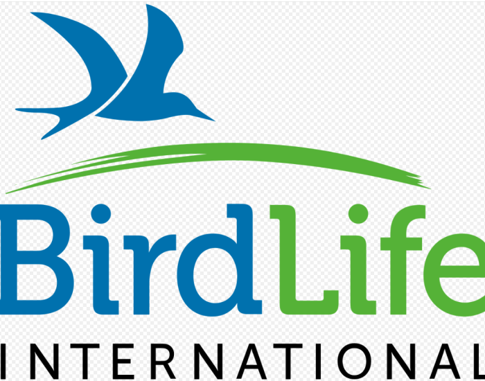 Birdlife