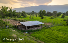 FAO
